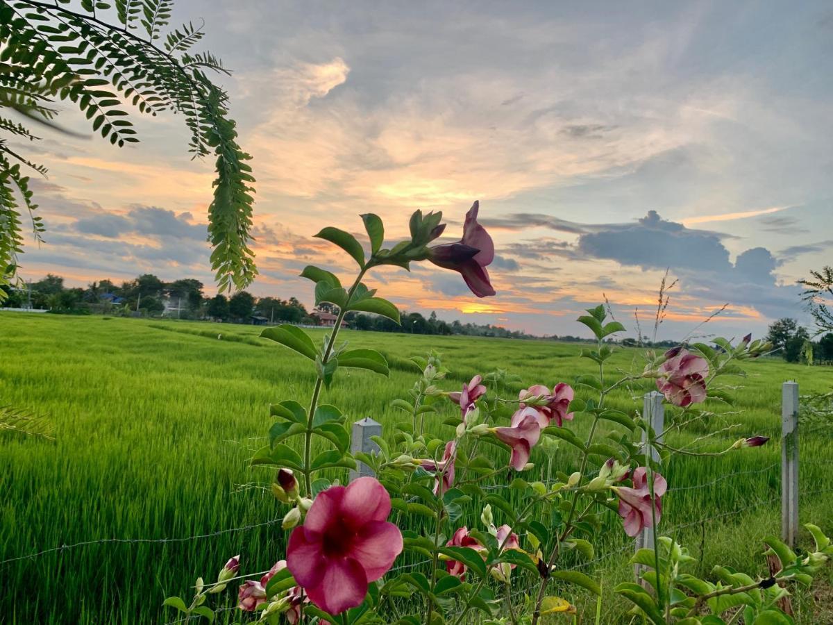 Rang Robin Farmstay With Swimming Pool Ban Wang Muang Eksteriør bilde